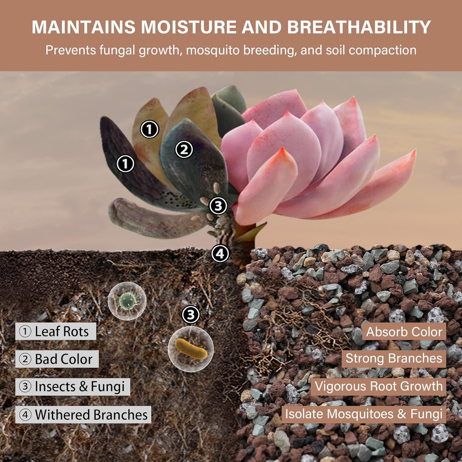 NUPICK 3lb Mix Horticultural Lava Rocks for Plants, 3/8" Colorful Succulent Potting Soil Amendments, Decorative Gravel for Cactus, Bonsai Gritty Rock, Pebbles Pumice for Vase Fillers, Top Dressing - Image 3