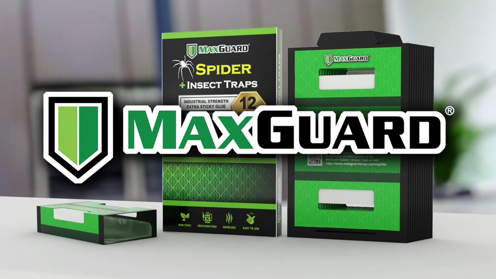 Amazon.com : MaxGuard Spider + Insect Traps (12 pcs Box Trap