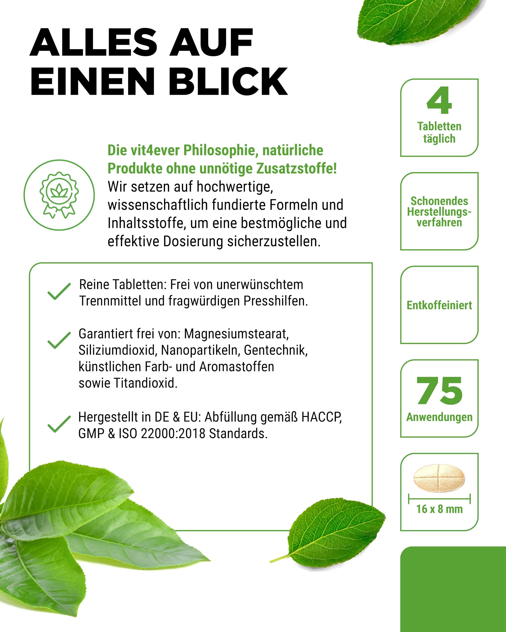 vit4ever Grüntee Extrakt 300 Tabletten - Hochdosiert mit 2000mg Grüner Tee Extrakt, 300 mg EGCG & 1000 mg Polyphenole pro Tagesdosis - Green Tea - Vegan - Ohne unnötige Zusätze