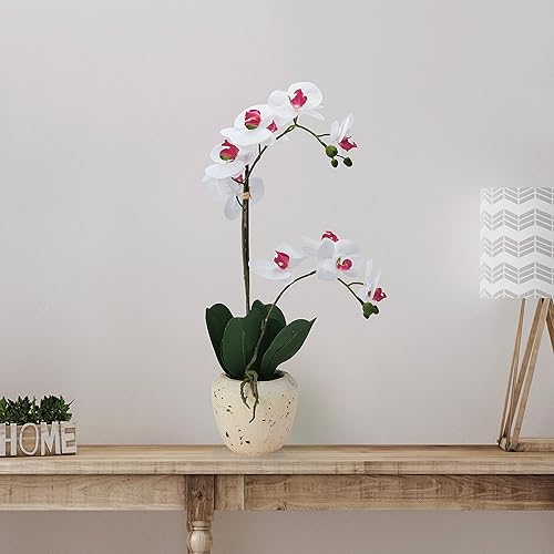 Miniatura 8 de Mikasa Orquídea artificial en maceta, orquídea Phalaenopsis de tacto real, maceta de cemento envejecido sintético, rama doble de 22 pulgadas,