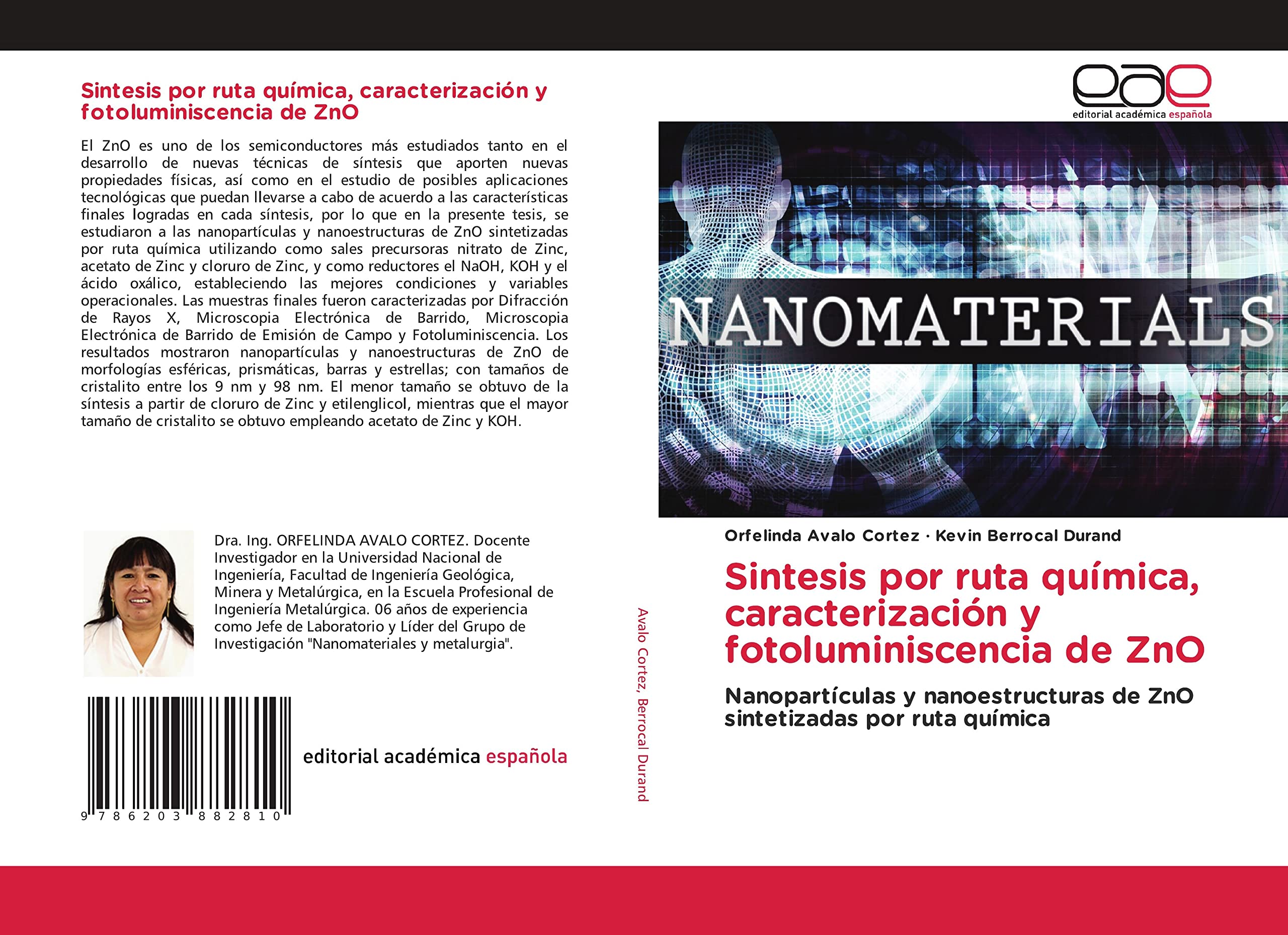 Sintesis por ruta química, caracterización y fotoluminiscencia de ZnO: Nanopartículas y nanoestructuras de ZnO sintetizadas por ruta química Paperback – 21 November 2021