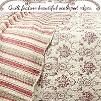 Vista 3 de Cozy Line Home Fashions - Juego de colcha (100 % algodón), con patrón estampado de medallón francés, color beige y borgoña