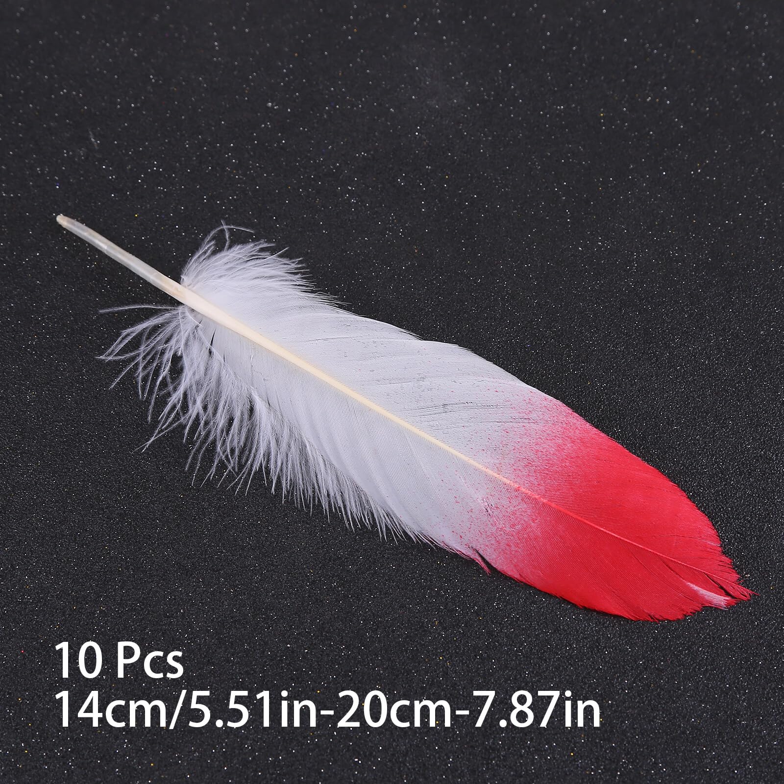 50 Piume Oca Naturali Nero - Per Decorazioni, Costumi, Dream Catcher, Fai Da Te, Feste, 20-25 Cm