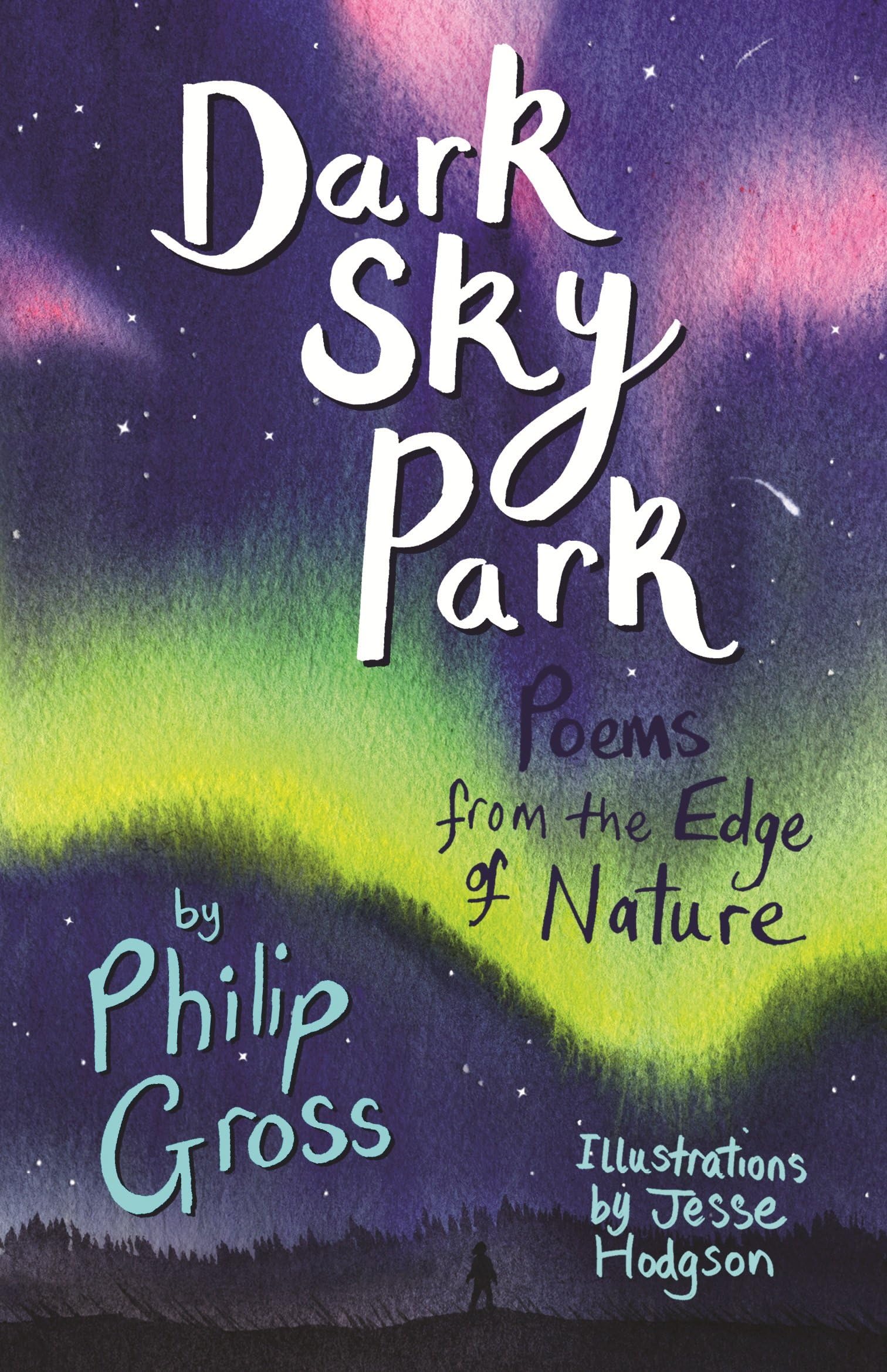 Dark Sky Park,Philip Gross, Jesse Hodgson