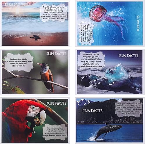 Miniatura 6 de 60 postales de animales salvajes con paisajes de temporada, postales divertidas, 20 diseños postales para profesores, tarjetas de agradecimiento de