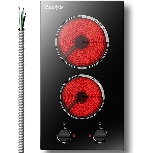 2 Burner Electric Cooktop - 12 Inch Built-in Electric Stove Top 3000W, Radiant Electric Stovetop with 9 Power Level, Knob Control, Auto Shut Down Protection, 220-240V Hard Wired (No Plug)