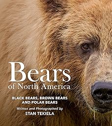 Polar Bears and Brown Bears cover