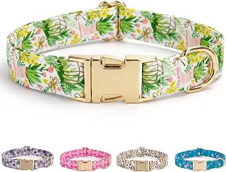 AIITLE Cute Printed Pattern Dog Collar with Metal Buckle, Adjustable Sturdy Collar for Small and Medium Dogs, Perfect for Party, Festival, Wedding and Daily Walks, Green S