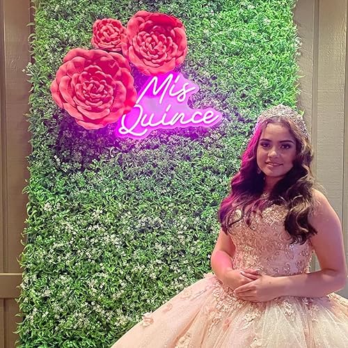 Miniatura 2 de Letreros de neón de membrillo Mis para decoración de pared, 18.9 pulgadas, letreros de neón para pared de dormitorio con interruptor regulable para