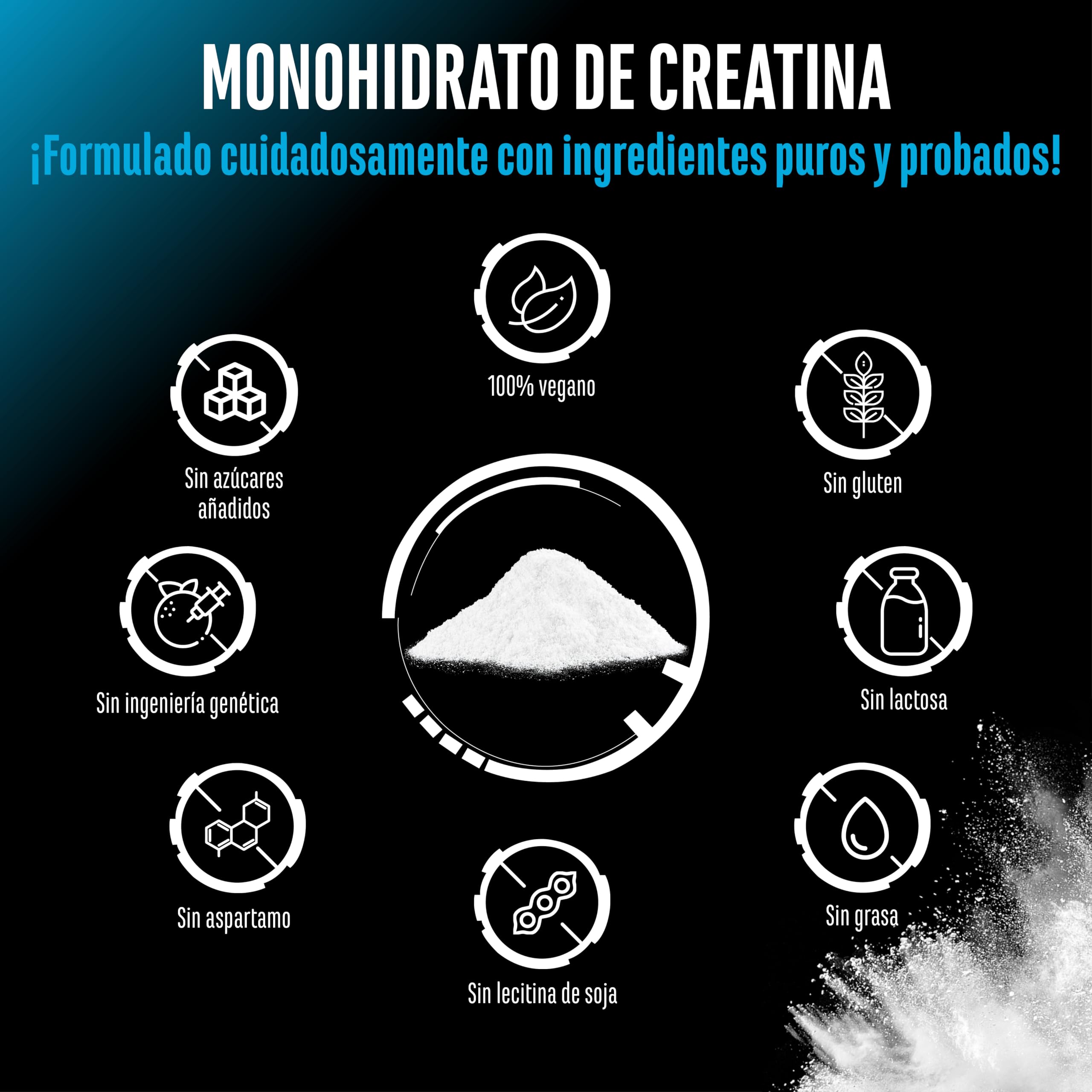 Creatina Monohidrato en Polvo 1000 g – Creatina Monohidrato Microfina, muy Soluble y de Alta Dosificación – Sin Aditivos innecesarios – Vegana – 293 Porciones