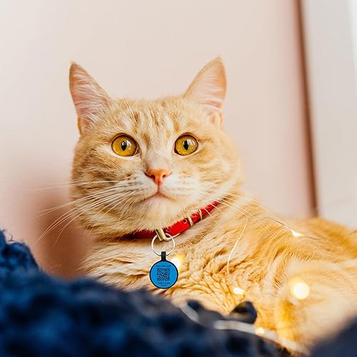 Miniatura 9 de Etiqueta para perro con código QR grabada para mascotas, etiqueta de nombre de perro personalizada de silicona silenciosa, etiqueta de