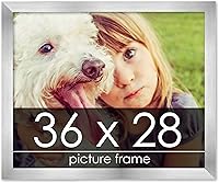 Vista 229 de Marco de 28 x 36 pulgadas de madera de peltre plateado con plexiglás acrílico UV, parte trasera de tablero de espuma y accesorios incluidos