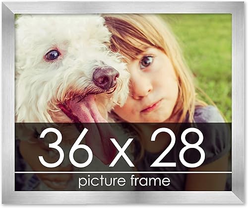 Miniatura 229 de Marco de 28 x 36 pulgadas de madera de peltre plateado con plexiglás acrílico UV, parte trasera de tablero de espuma y accesorios incluidos