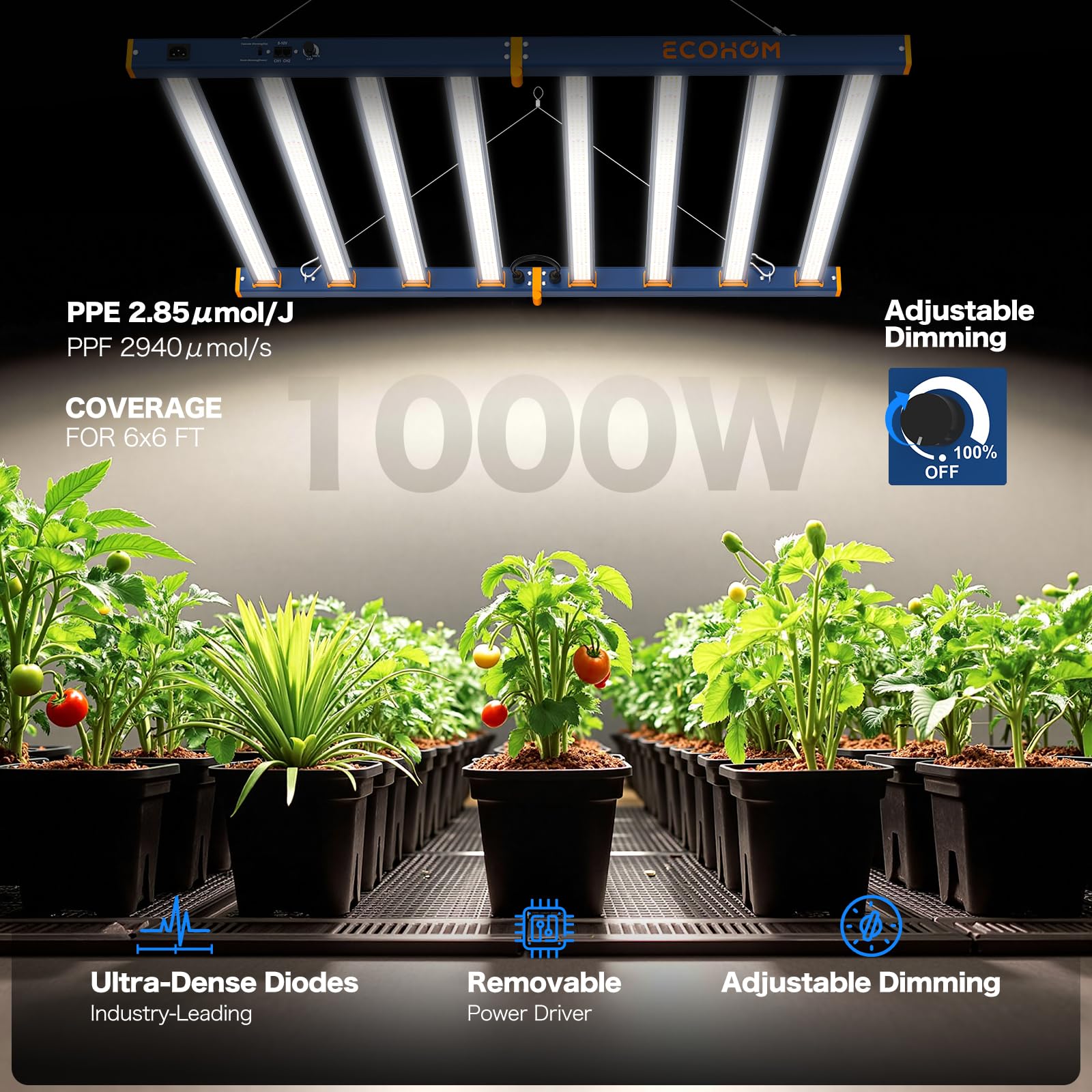 Amazon.com: LED Grow Light, 1000W Grow Lights for Indoor Plants