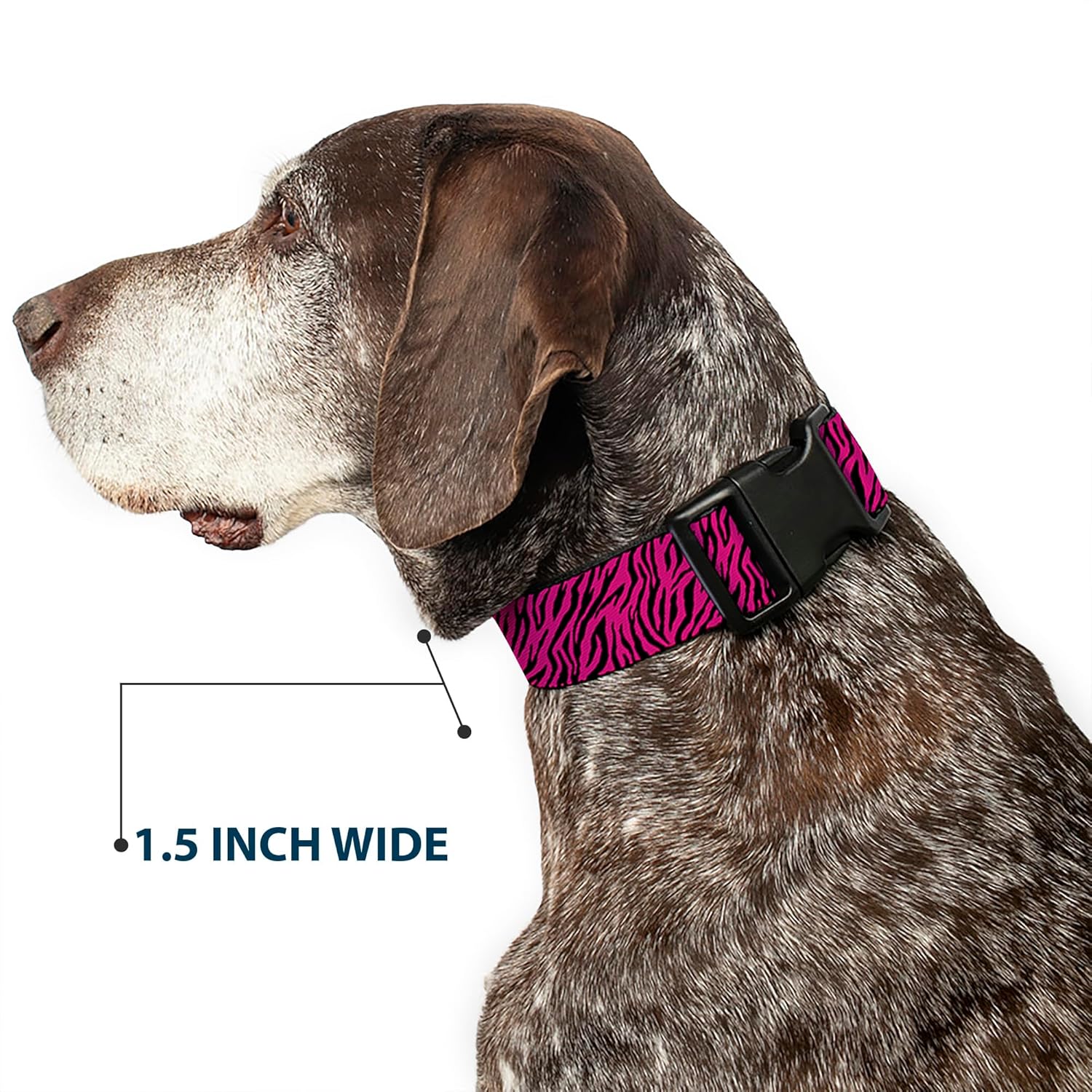 Buckle-Down Plastic Clip Collar - Zebra 2 Fuchsia Pink - 1.5" Wide - Fits 18-32" Neck - Large