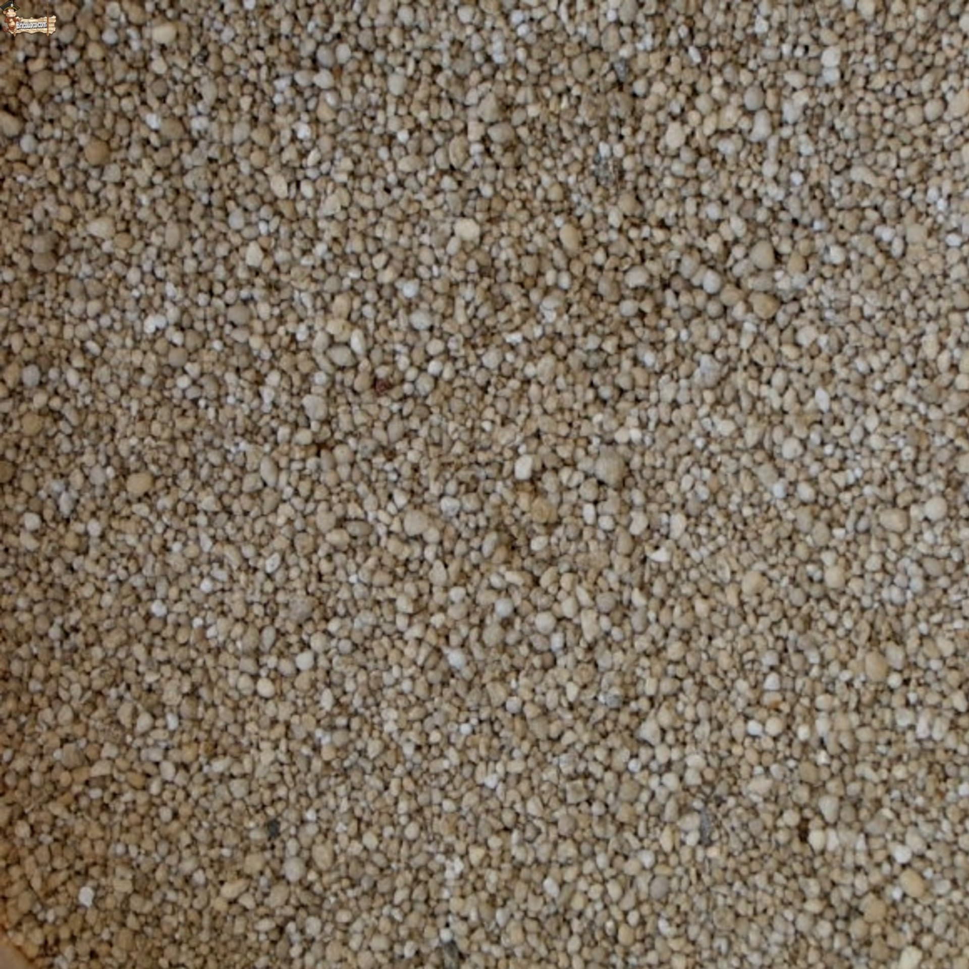 BricoLoco.com Hierro para plantas. ¡¡¡ 25 KGS.!!! Sulfato de hierro granulado reverdeciente para plantas, árboles cítricos, frutales, limonero. Abono hierro contra clorosis férrica. (25 kgs., 1)