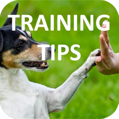 Dog Training