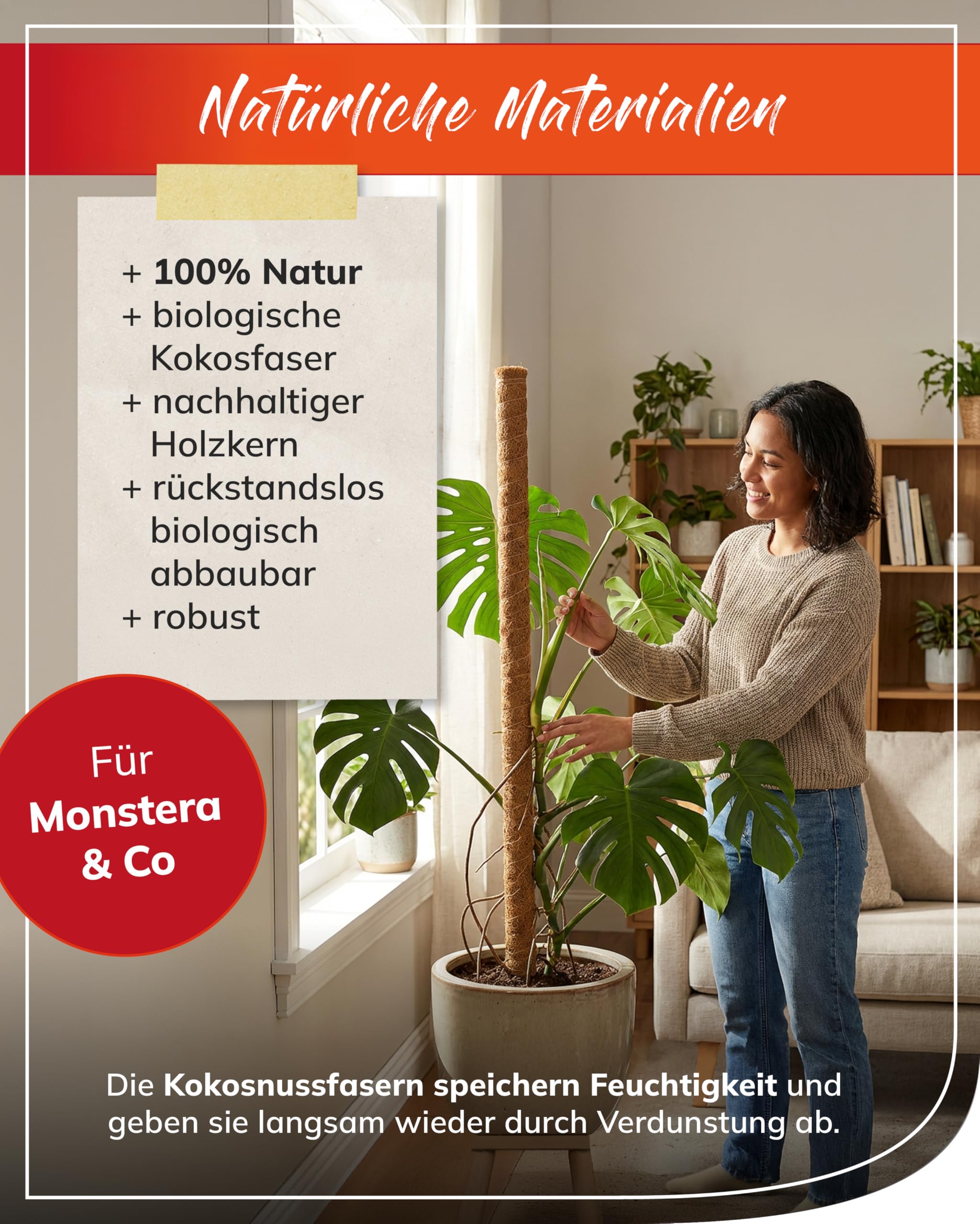 bellissa Kokosstab Pflanzstab Monstera Efeutute Rankhilfe 10er-Set 80 cm | Pflanzenstütze für Garten & Balkon mit Holzkern, steckbar & erweiterbar