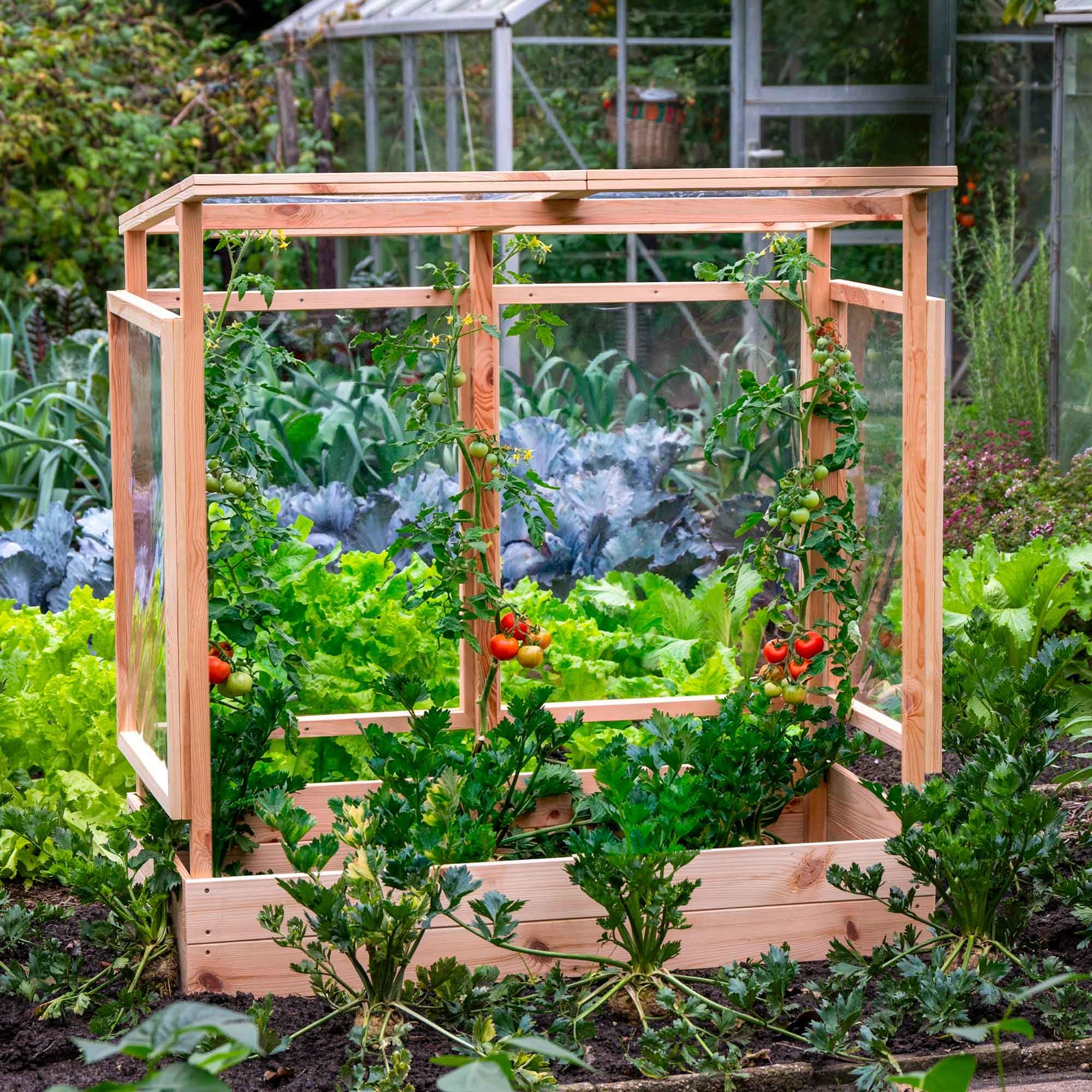 dobar® Tomatenhaus aus Holz mit PVC-Schutzscheiben kleines Gewächshaus für Tomaten, Gurken & Gemüse im Gartenbeet Pflanzenhaus mit Rankhilfe für geschützten Gemüseanbau 116 x 71 x 120 cm