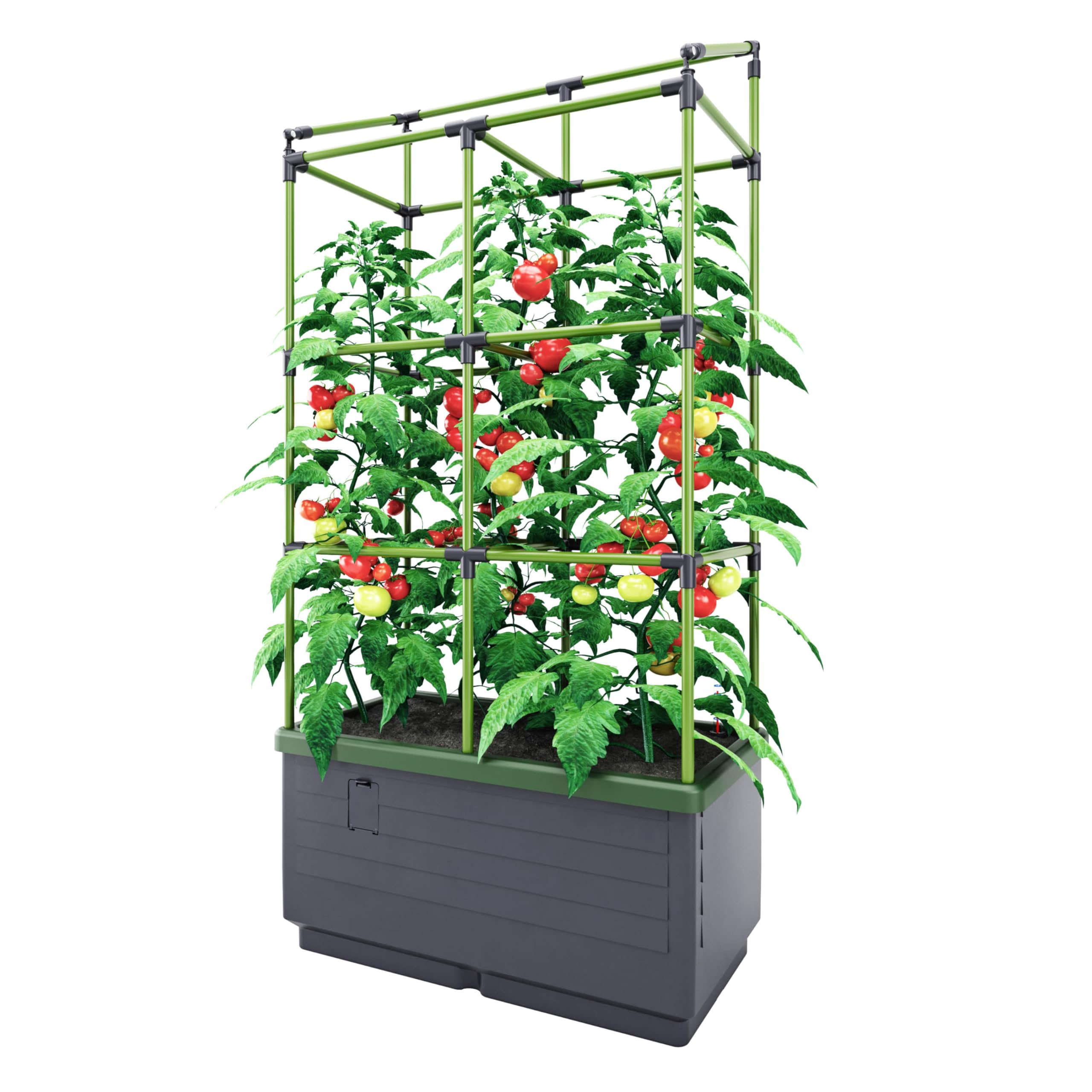 Amazon.com : BioGreen Raised Garden Bed with Trellis CITY JUNGLE