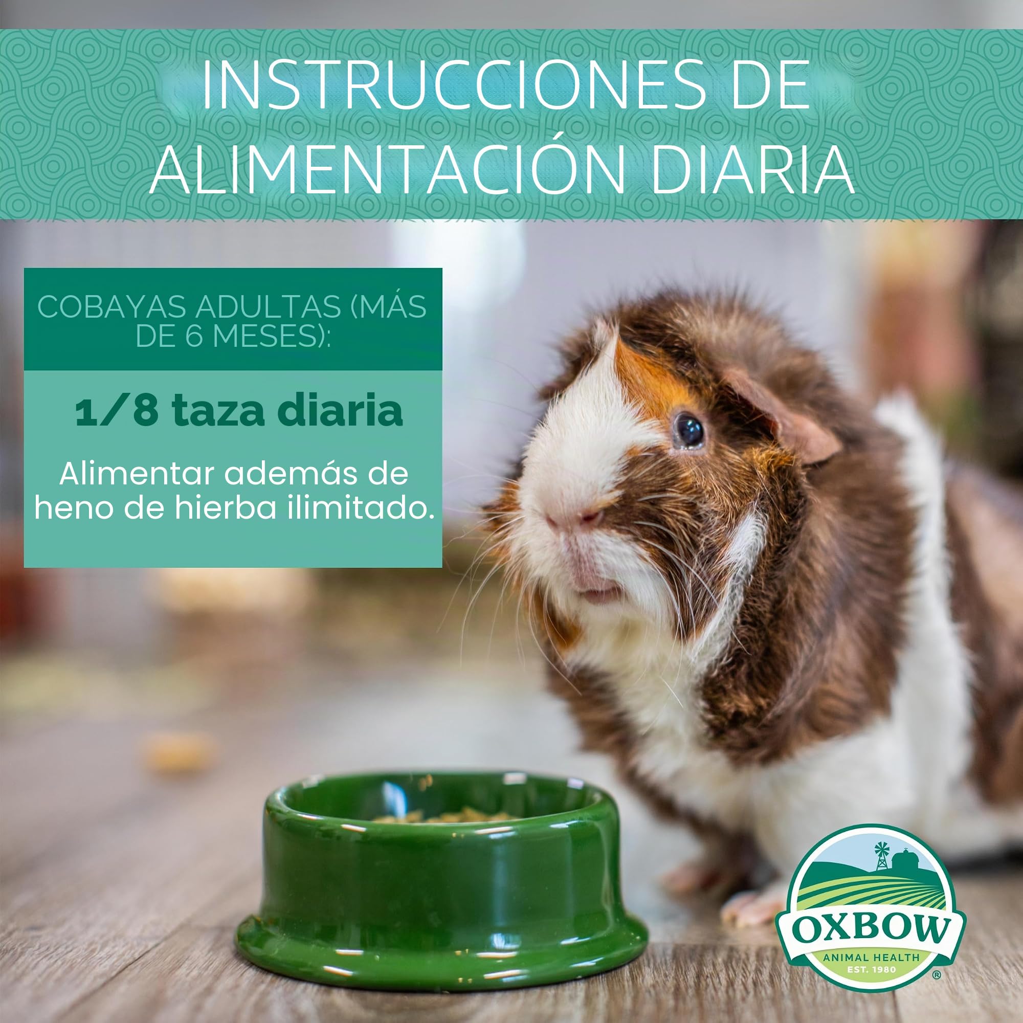 Petlife Oxbow Cavy Cocina Completa alimentación para Adultos Guinea Pig, 4,5 kg