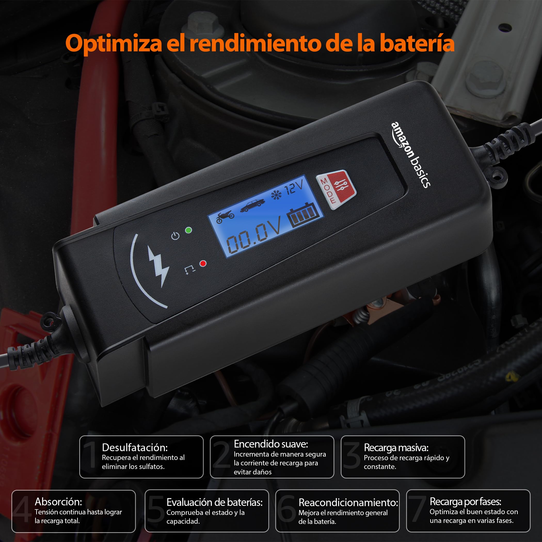 Amazon Basics Cargador de batería inteligente automático con función de probador de batería, enchufe UE, salida : 2A/4A, 6V/12V CC, Negro