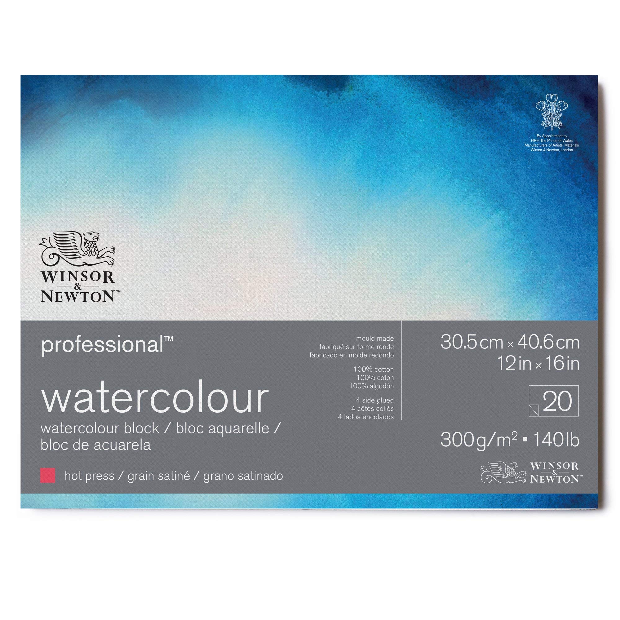 Winsor & Newton Papel de Acuarela Profesional, Grano Satinado, 300gr, 100% Algodón, Blanco Natural, Libre de Ácidos, 30,5X40,6CM, Bloc Encolado en los 4 Lados, 20 Hojas