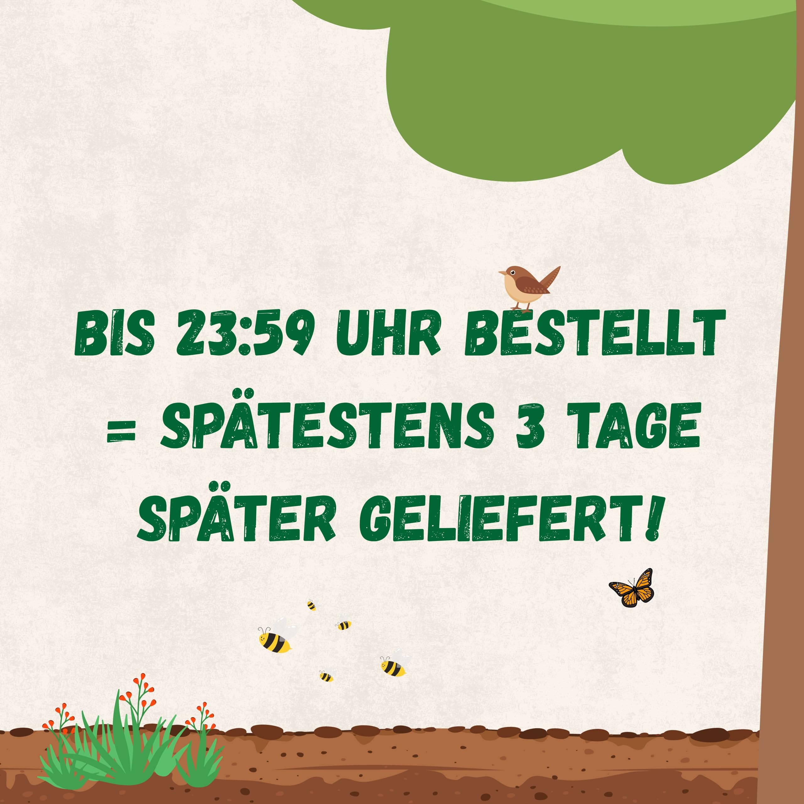 Strijtveen & Wagenaar – SC-Nematoden gegen Zecken & Flöhe – 50.0 Mio. für 100 m² – Biologisch & effektiv – Natürliche Bekämpfung von Parasiten im Boden rund um Haus & Garten