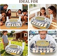 Vista 9 de Incubadora de 24 huevos para incubar con girador automático, control inteligente de temperatura y humedad, visualización 360°, ovoscopio, recarga