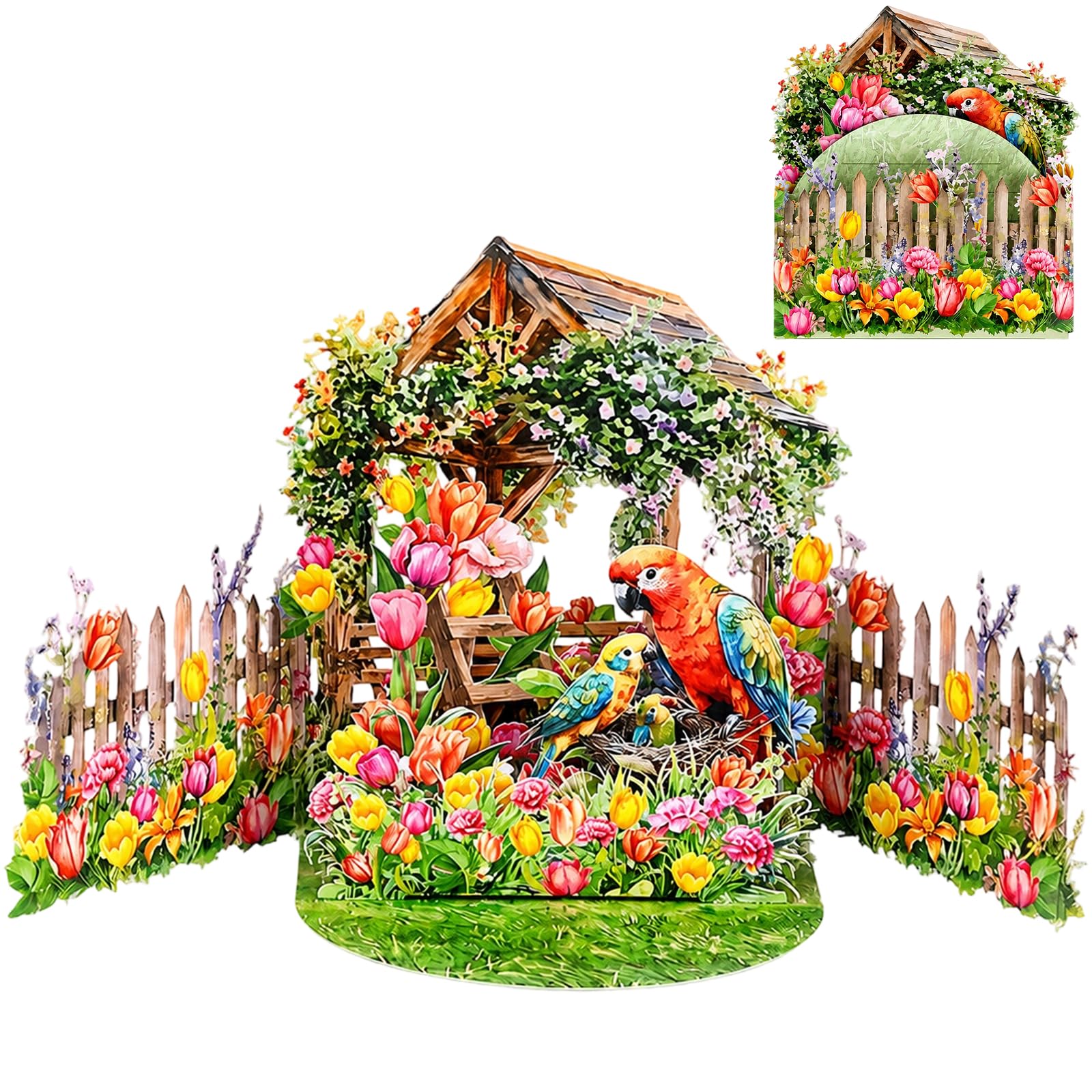 3D Parrot Pop Up Birthday Card with Envelope, Foldable Greeting Card