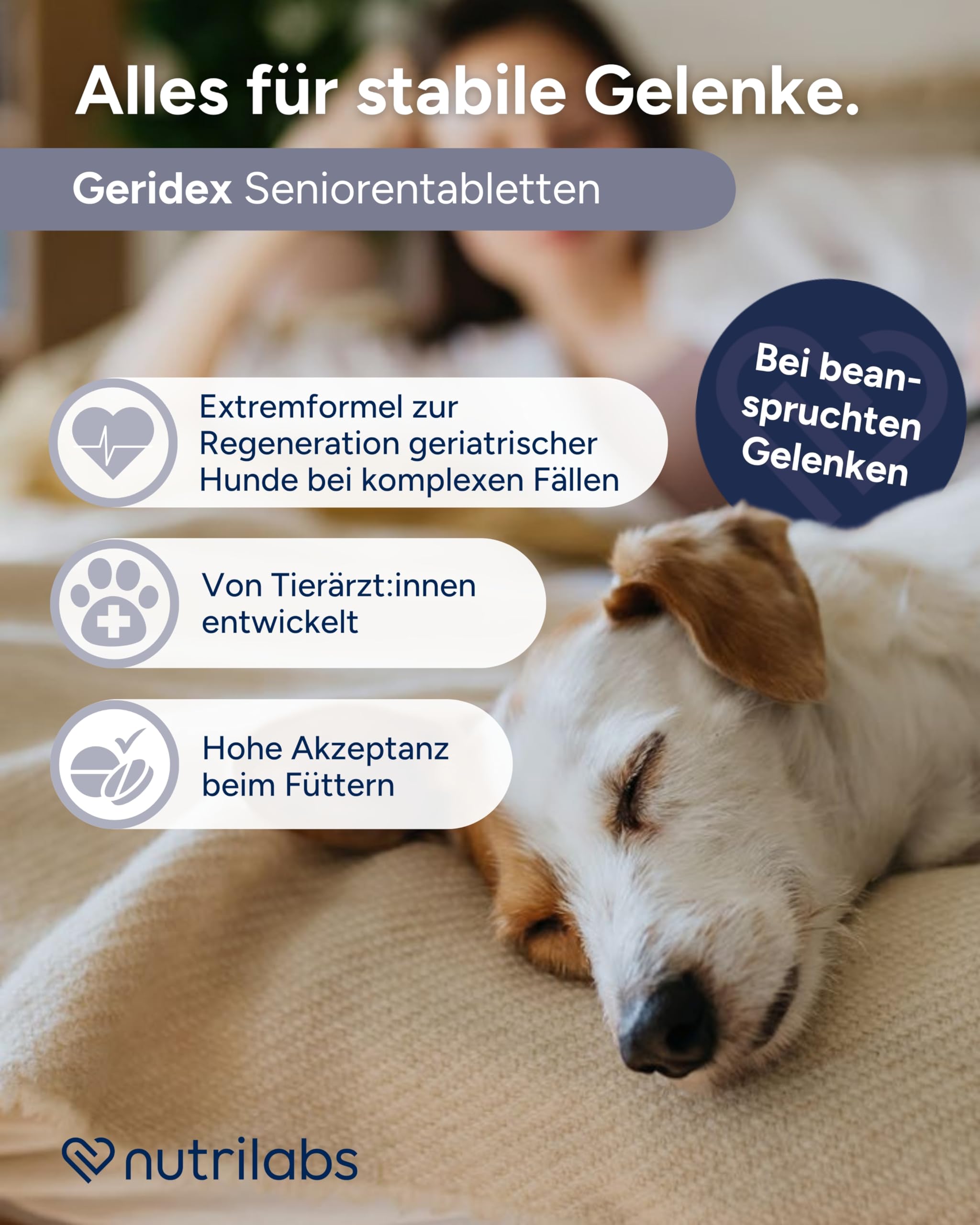NutriLabs Geridex® Tabletten für Senioren-Hunde 60 STK. - Seniorentabletten für Hunde mit Glucosamin, Weißdorn u.v.m. - Hunde-Nahrungsergänzung - Teufelskralle-Tabletten - MSM-Hund