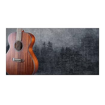 Amazon | Breedlove ECO Discovery S コンサート