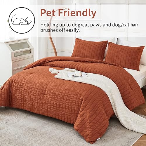 Miniatura 3 de AveLom - Juego de edredón de sirsaca, King (104 x 90 pulgadas), 3 piezas, 100% microfibra suave lavada, ligero con 2 fundas de almohada, juego de