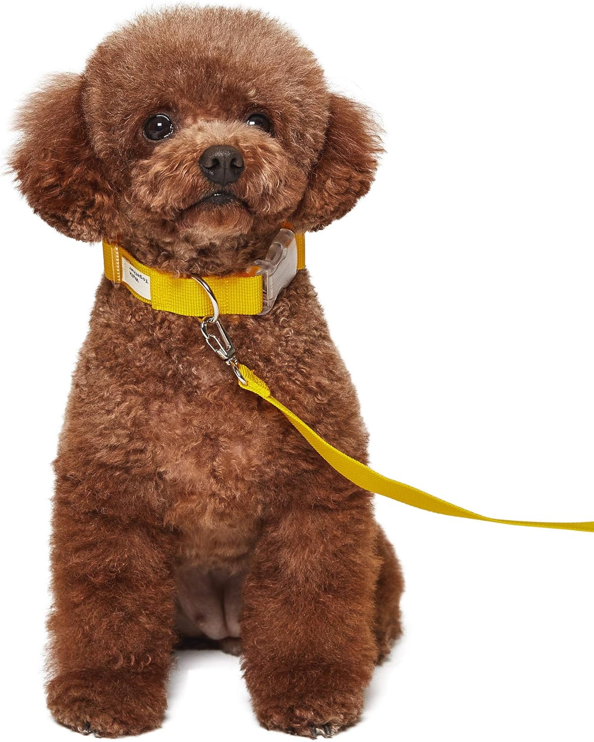 THE ZOOS Thezoos Walk Together Collar Leash Set (Yellow