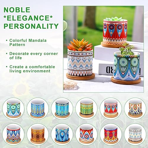Miniatura 3 de Zopeal 12 macetas para suculentas de 3 pulgadas, macetas cilíndricas de cerámica, mandala, multicolor, con agujeros de drenaje y bandejas de bambú