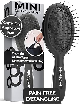 FRAMAR Mini Hair Brush Detangler, Mini Brush For Hair, Compact For Travel