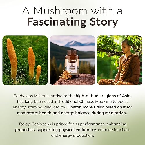Miniatura 7 de Longevity Botanicals Cordyceps Cápsulas de extracto de hongos (120)  Proporción concentrada 101  Cuerpos 100% fructíferos  Cordyceps Militaris
