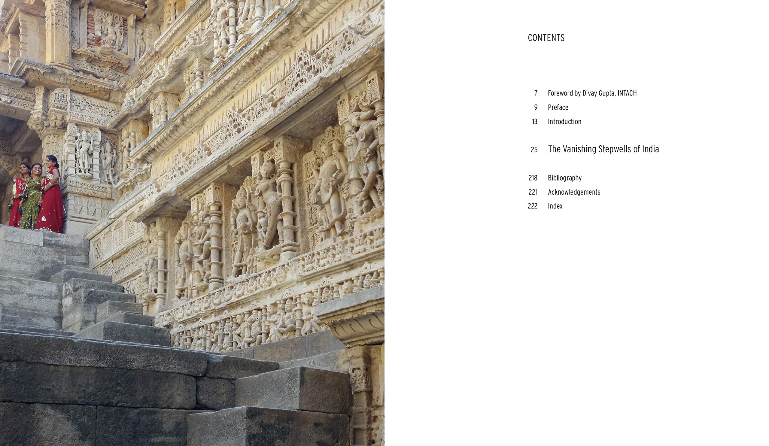 The vanishing stepwells of India