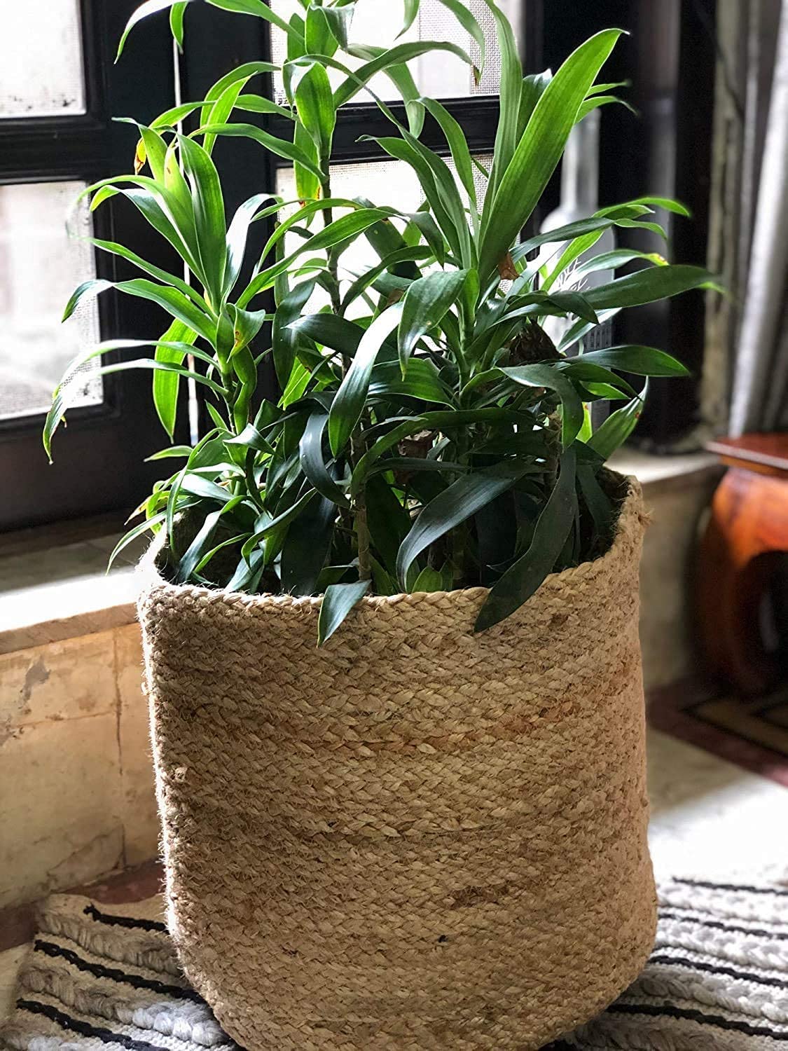 See full amazon price history chart for AVSHOP Natural Jute Cotton Plant Pot Bags - Jute Plant Baskets for Planters - Handwoven Flower Pot Bag for Office Desk Plants Storage Baskets for Home D�cor Balcony Size - 6 x 6 Inch AVSHOP Natural Jute Cotton Plant Pot Bags - Jute Plant Baskets for Planters - Handwoven Flower Pot Bag for Office Desk Plants Storage Baskets for Home D�cor Balcony Size - 6 x 6 Inch (B0CTFCS4RF) Amazon Price History, Amazon Price Tracker