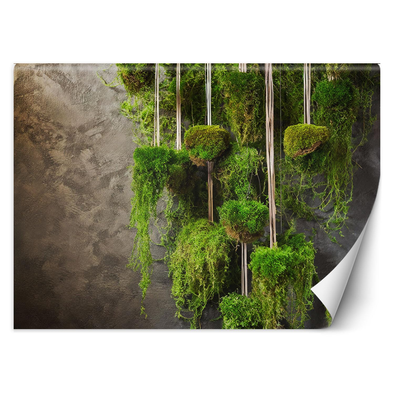Papier peint 3d plante de mousse botanique Feeby 100x70 cm