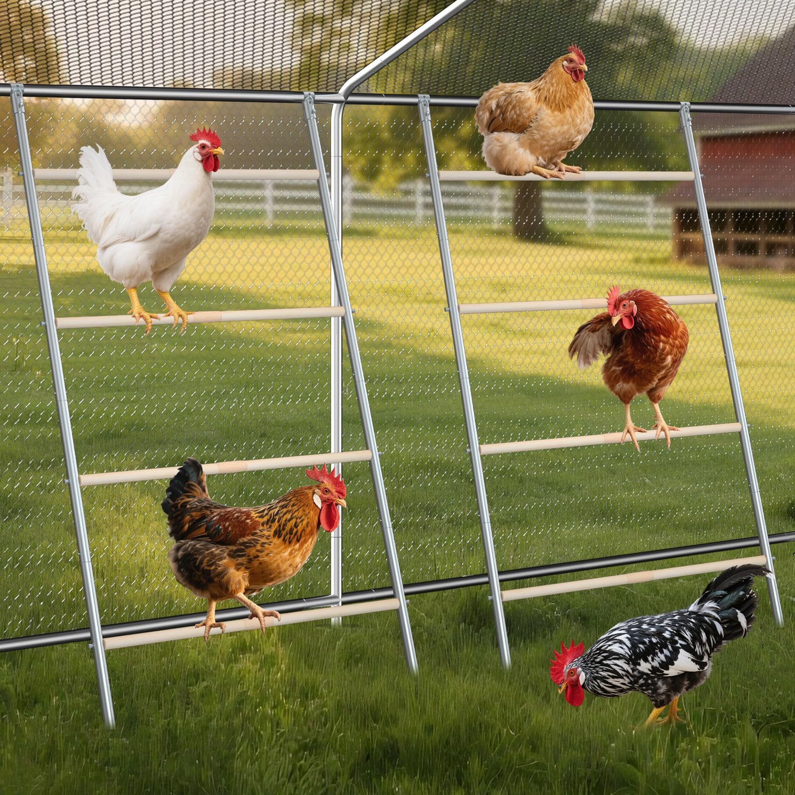 Percha de pollo para gallinero, barras de gallina, juguetes de granja, escalera de gallo para aves de corral, paquete de 2 (58 pulgadas de largo x 32 pulgadas de ancho)