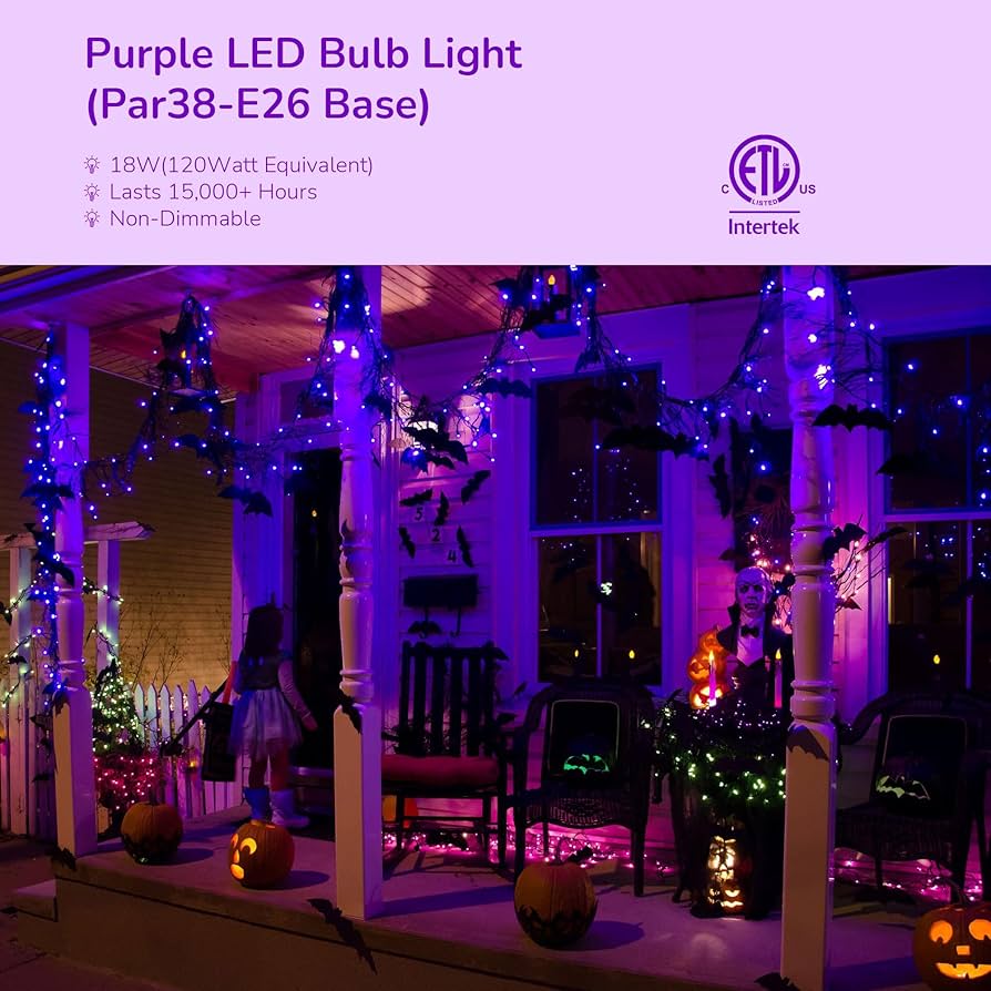 ライト・ランタン BRIESTA Gradation purple Minetom Halloween Solar Lights Outdoor - 4 Pack Total 160FT