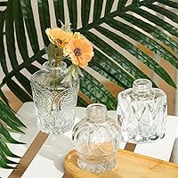 Vista 6 de Fixwal Juego de 36 Floreros de Vidrio para Capullos, Floreros Pequeños para Flores, Floreros Transparentes para Capullos para Centros de Mesa