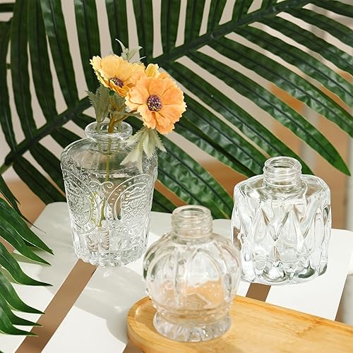 Miniatura 6 de Fixwal Juego de 36 jarrones de cristal, pequeños jarrones para flores, jarrones transparentes para centros de mesa, jarrones de flores a granel para