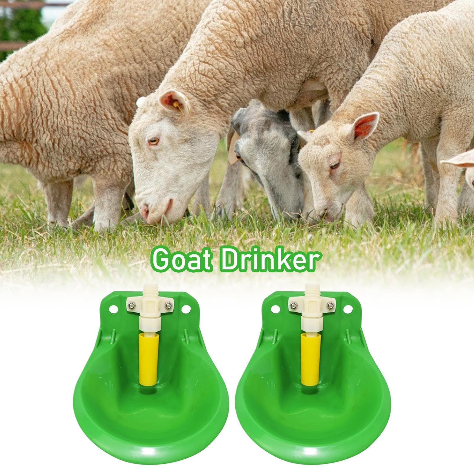 2 Bebitori Automatici Per Pecore E Capre - Con Valvola, 600ml, Materiale PP Sicuro - Foto 7