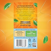 Vista 486 de Twinings Blackcurrant Breeze - Té negro, 6 paquetes de 20 unidades, bolsas de té envueltas individualmente, dulce, sabor picante, con cafeína