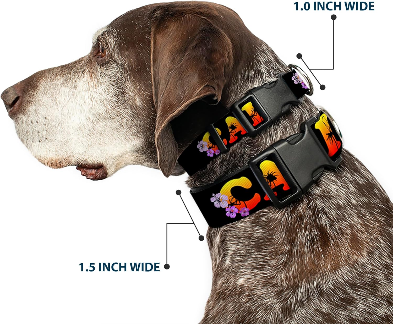 Buckle-Down 13-18" Cali Tropical Black/Multicolor Plastic Clip Collar, Wide Small