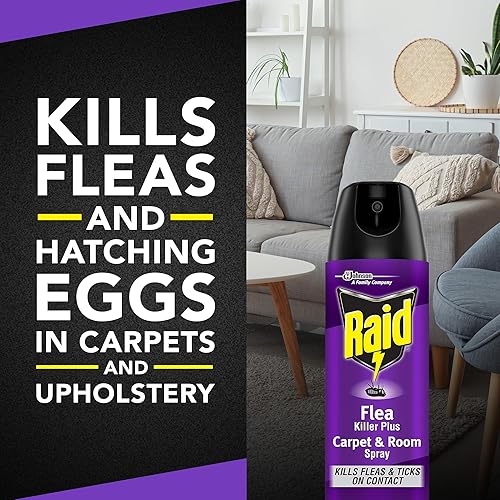 Raid Flea Killer Carpet & Room Spray, Kills hatching eggs for up to 4 months, 16 Oz(16 Ounce (Pack of 1))