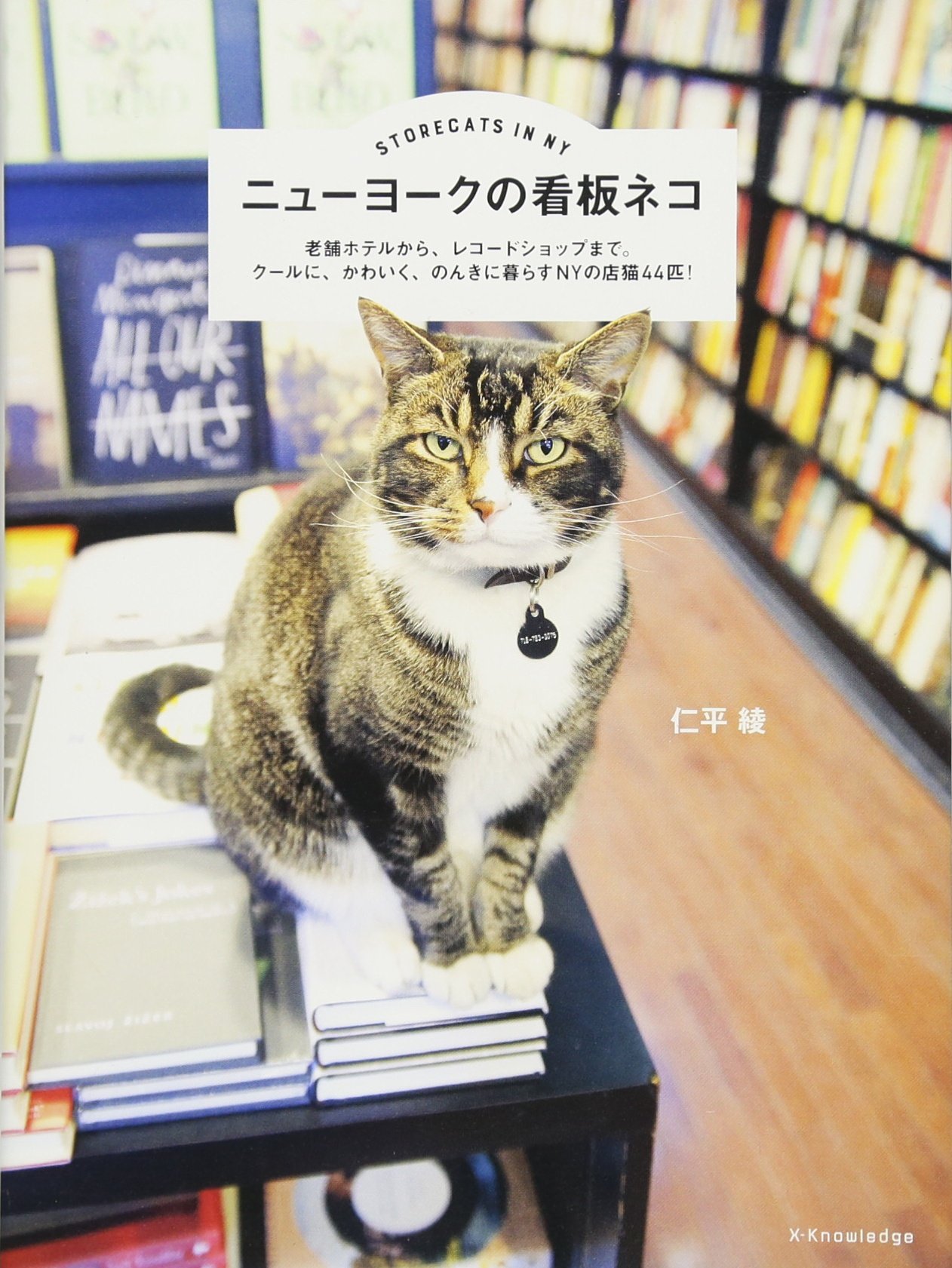 ニューヨークの看板ネコ | 仁平 綾 |本 | 通販 | Amazon