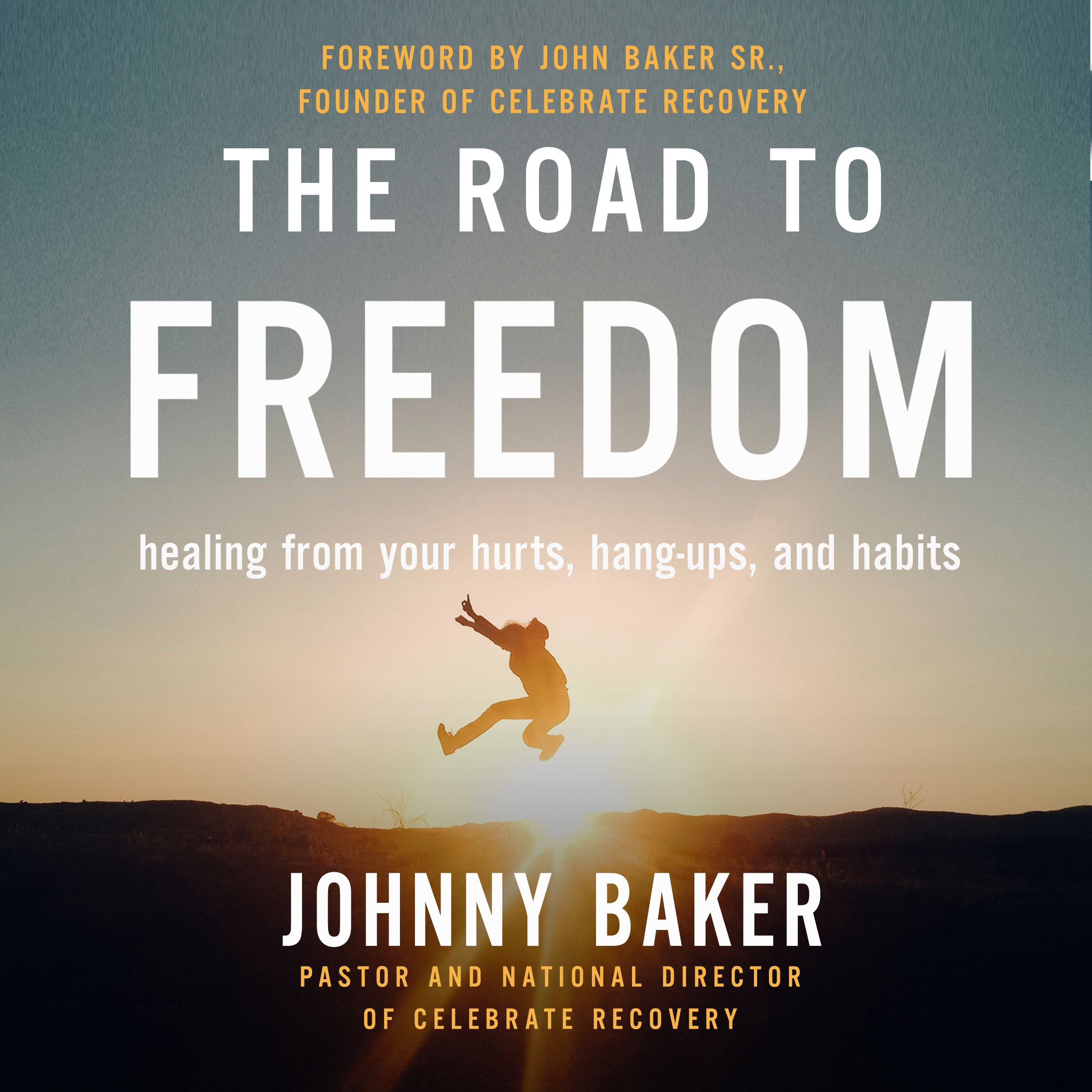 The Road to Freedom: Healing from Your Hurts, Hang-Ups, and Habits